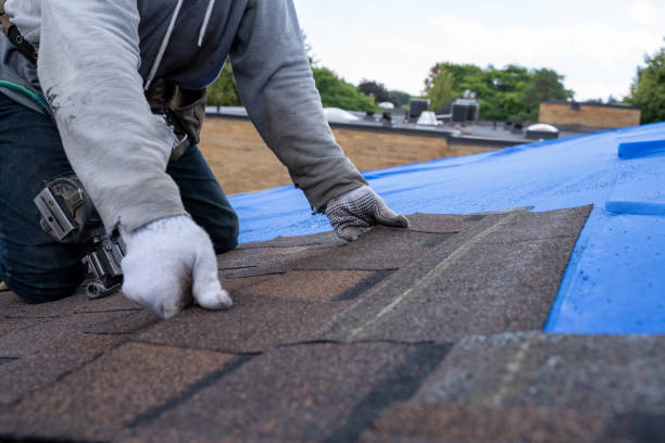 Roof Repair Estimates in Black Jack, MO